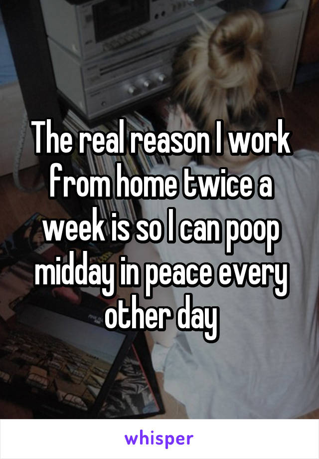 The real reason I work from home twice a week is so I can poop midday in peace every other day