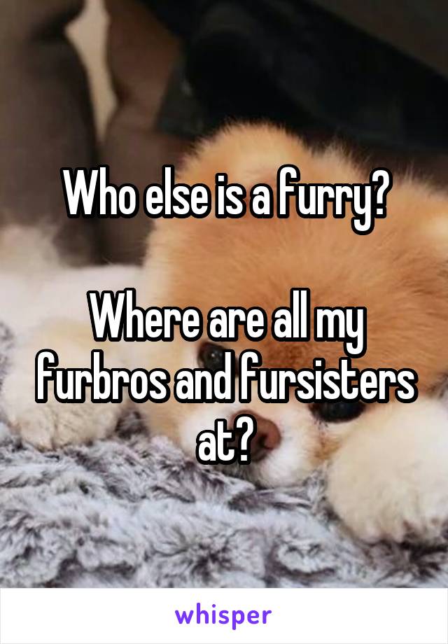 Who else is a furry?

Where are all my furbros and fursisters at?