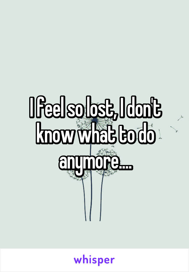 I feel so lost, I don't know what to do anymore....
