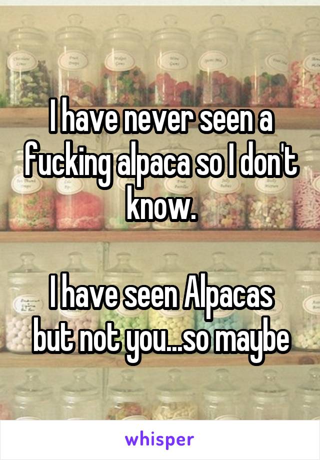 I have never seen a fucking alpaca so I don't know.

I have seen Alpacas but not you...so maybe