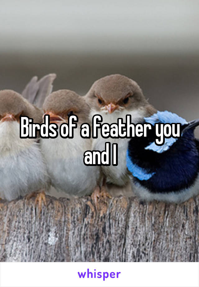 Birds of a feather you and I