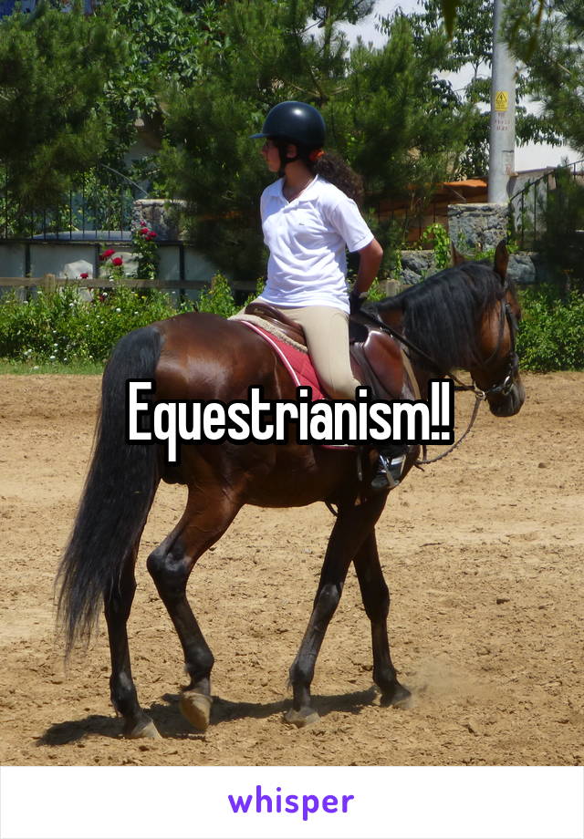 Equestrianism!! 