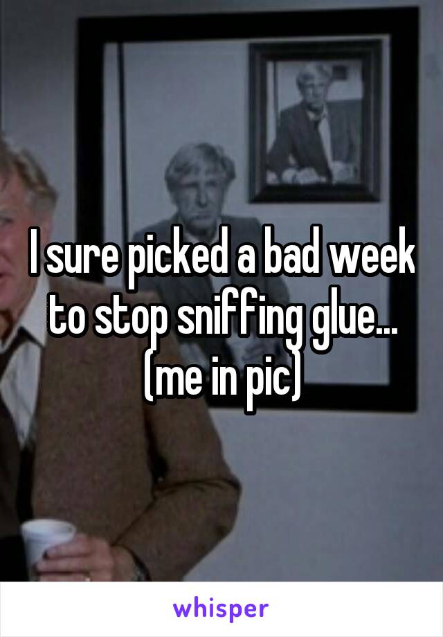 I sure picked a bad week to stop sniffing glue...
(me in pic)