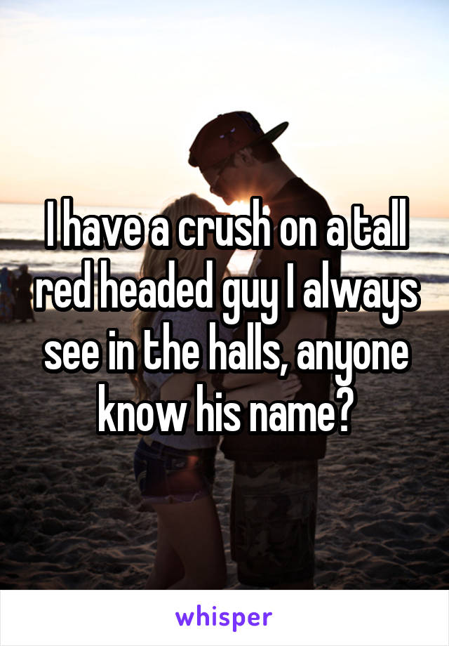 I have a crush on a tall red headed guy I always see in the halls, anyone know his name?