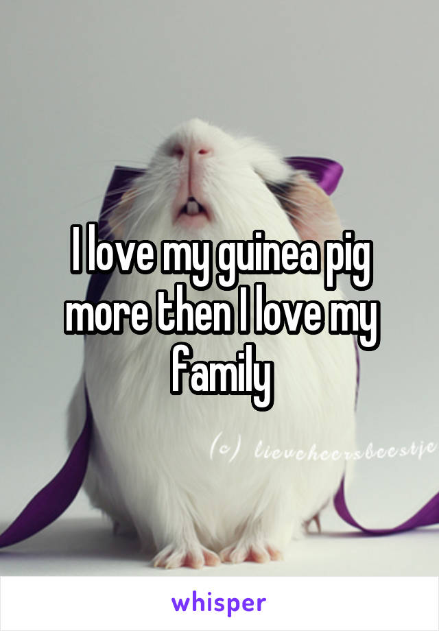 I love my guinea pig more then I love my family