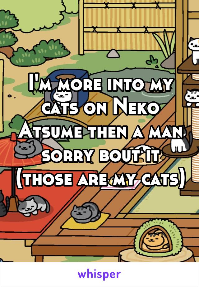I'm more into my cats on Neko Atsume then a man sorry bout it (those are my cats) 