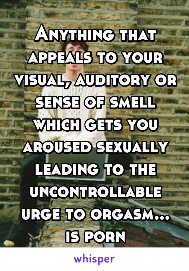 Anything that appeals to your visual, auditory or sense of smell which gets you aroused sexually leading to the uncontrollable urge to orgasm... is porn