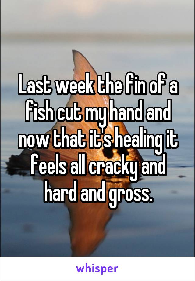 Last week the fin of a fish cut my hand and now that it's healing it feels all cracky and hard and gross.
