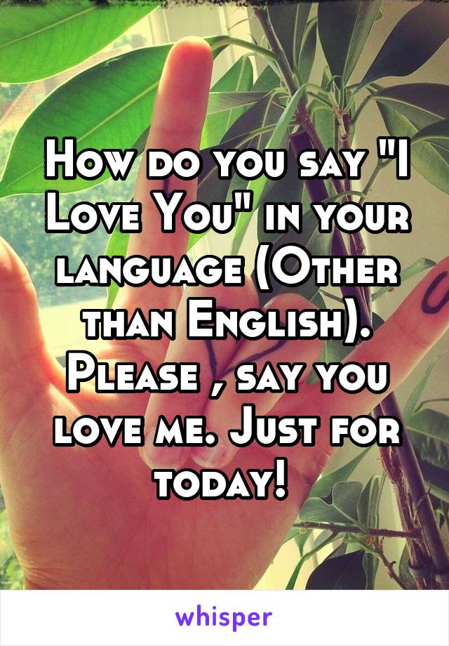 How do you say "I Love You" in your language (Other than English). Please , say you love me. Just for today! 