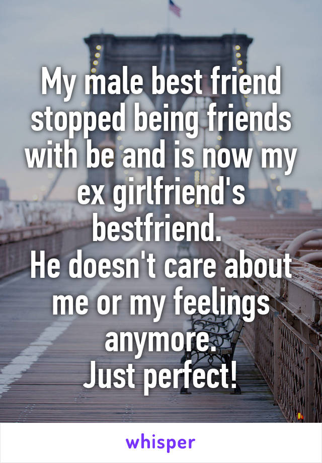 My male best friend stopped being friends with be and is now my ex girlfriend's bestfriend. 
He doesn't care about me or my feelings anymore.
Just perfect!