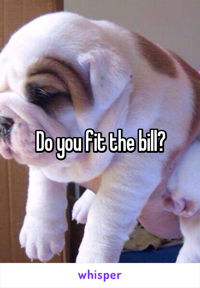 Do you fit the bill?