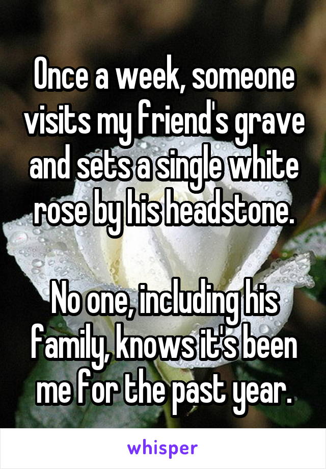 Once a week, someone visits my friend's grave and sets a single white rose by his headstone.

No one, including his family, knows it's been me for the past year.
