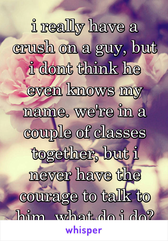 i really have a crush on a guy, but i dont think he even knows my name. we're in a couple of classes together, but i never have the courage to talk to him. what do i do?