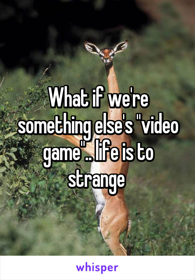 What if we're something else's "video game".. life is to strange 