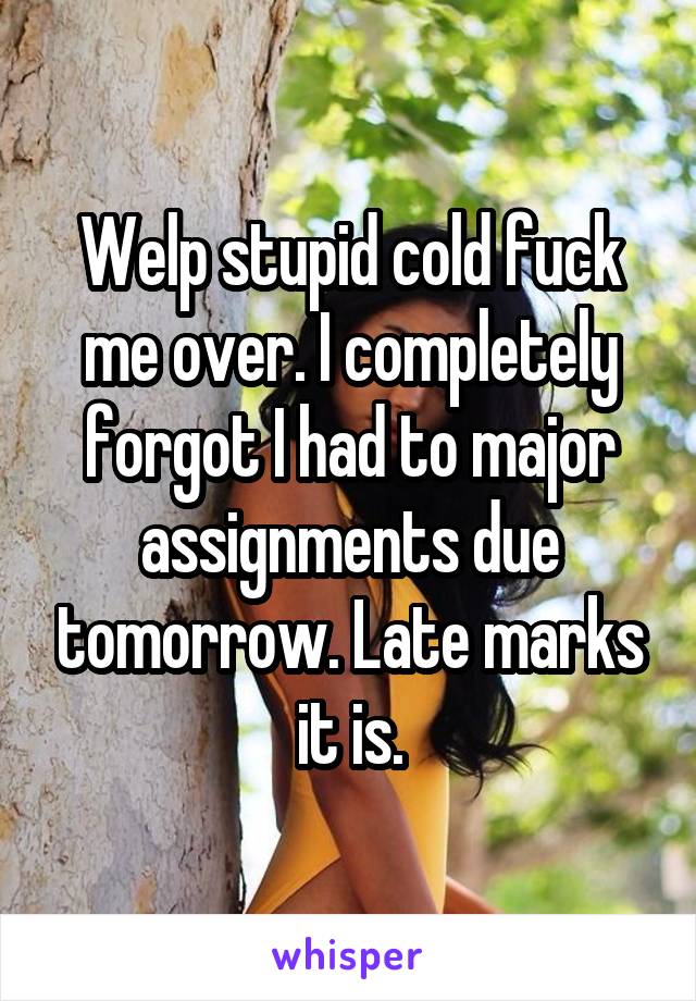 Welp stupid cold fuck me over. I completely forgot I had to major assignments due tomorrow. Late marks it is.