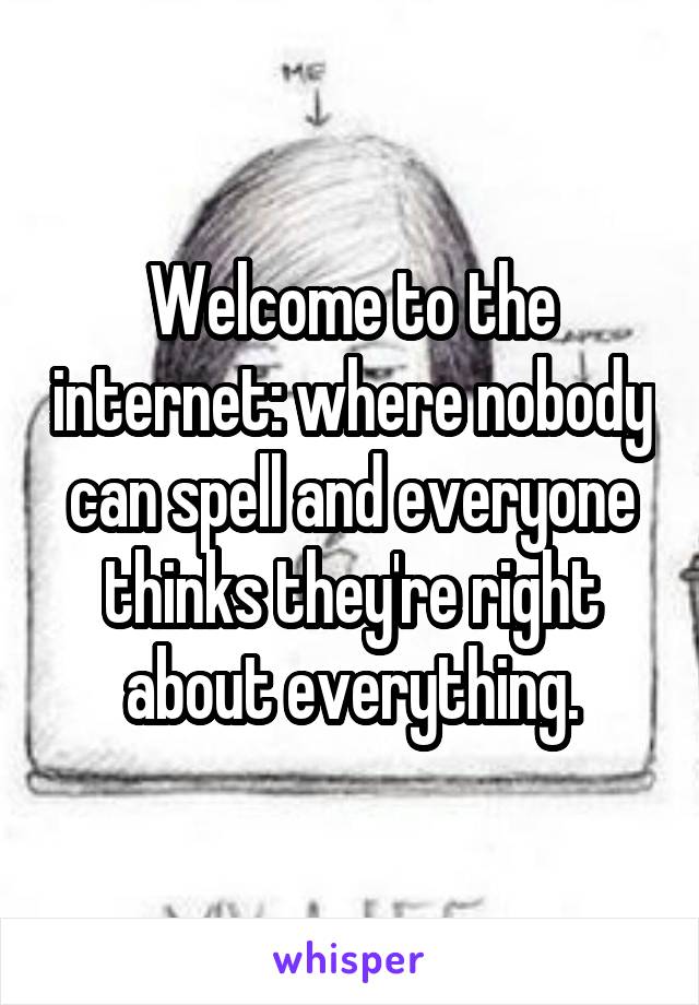Welcome to the internet: where nobody can spell and everyone thinks they're right about everything.