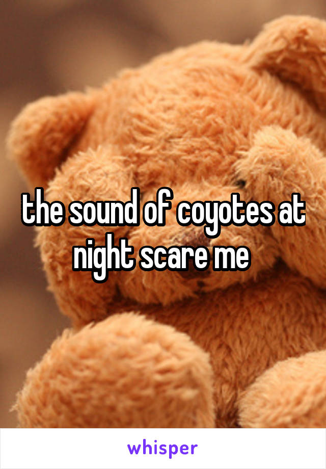 the sound of coyotes at night scare me 
