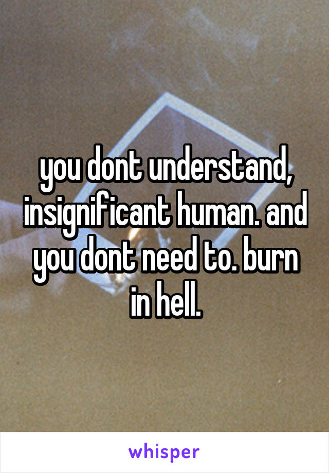 you dont understand, insignificant human. and you dont need to. burn in hell.