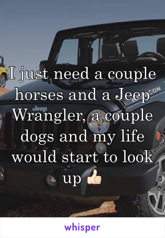 I just need a couple horses and a Jeep Wrangler, a couple dogs and my life would start to look up 👍🏻