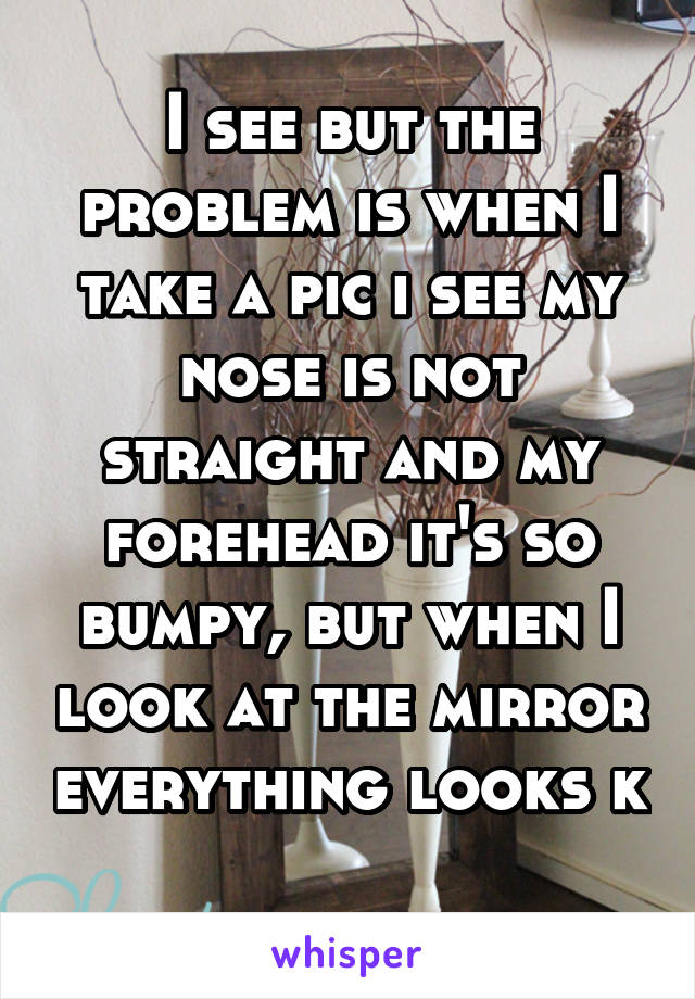 I see but the problem is when I take a pic i see my nose is not straight and my forehead it's so bumpy, but when I look at the mirror everything looks k 