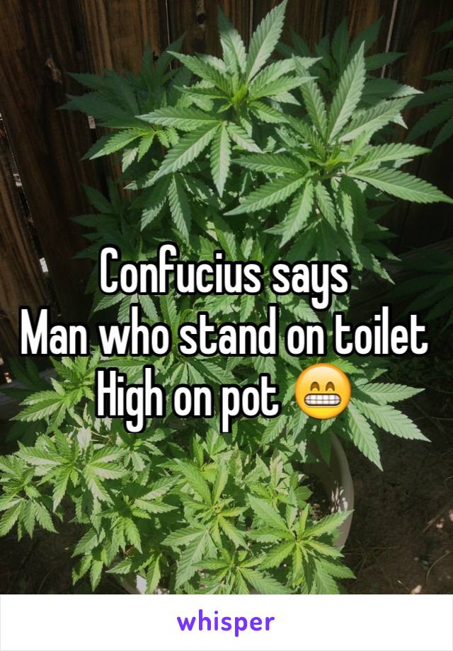 Confucius says
Man who stand on toilet
High on pot 😁