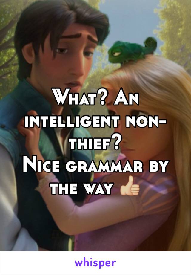 What? An intelligent non-thief? 
Nice grammar by the way 👍🏼
