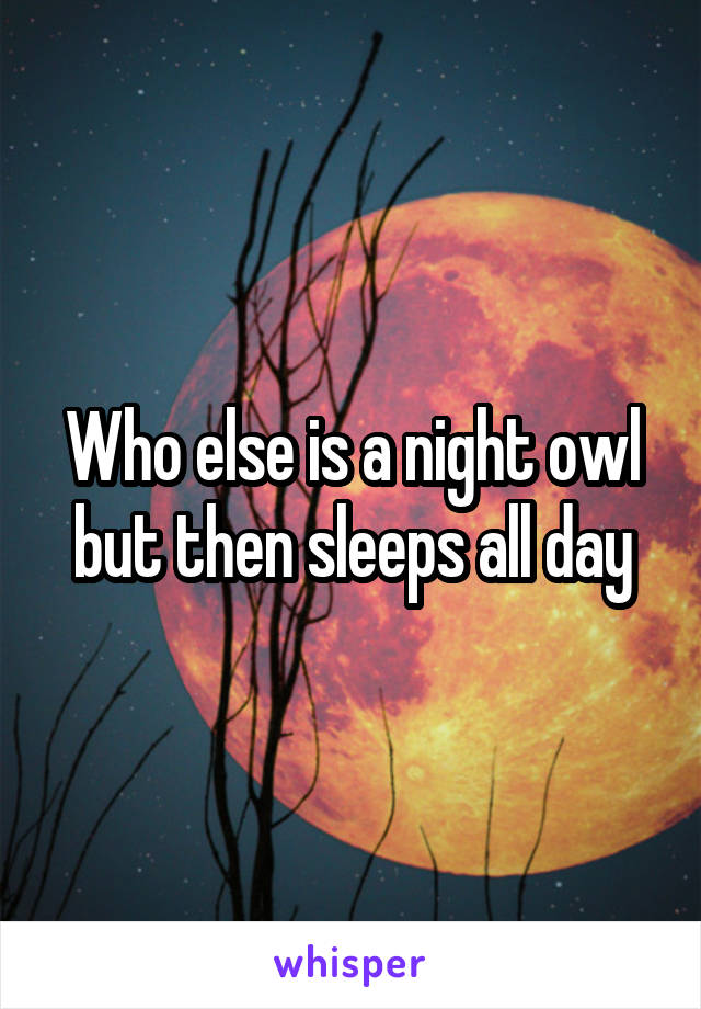 Who else is a night owl but then sleeps all day