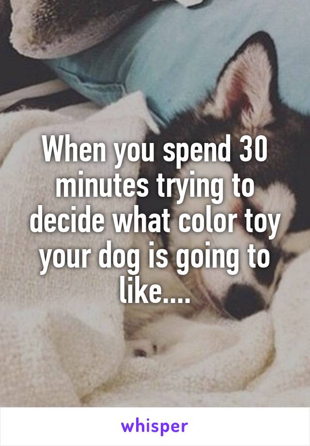 When you spend 30 minutes trying to decide what color toy your dog is going to like....
