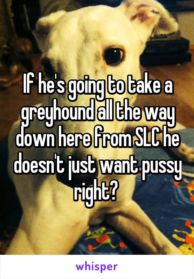 If he's going to take a greyhound all the way down here from SLC he doesn't just want pussy right? 