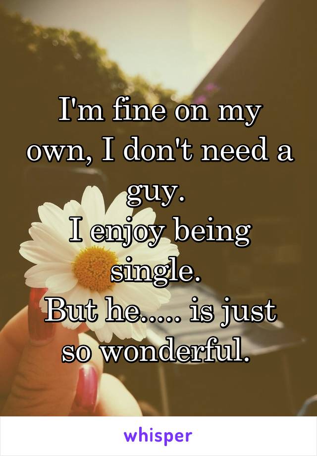I'm fine on my own, I don't need a guy. 
I enjoy being single. 
But he..... is just so wonderful. 