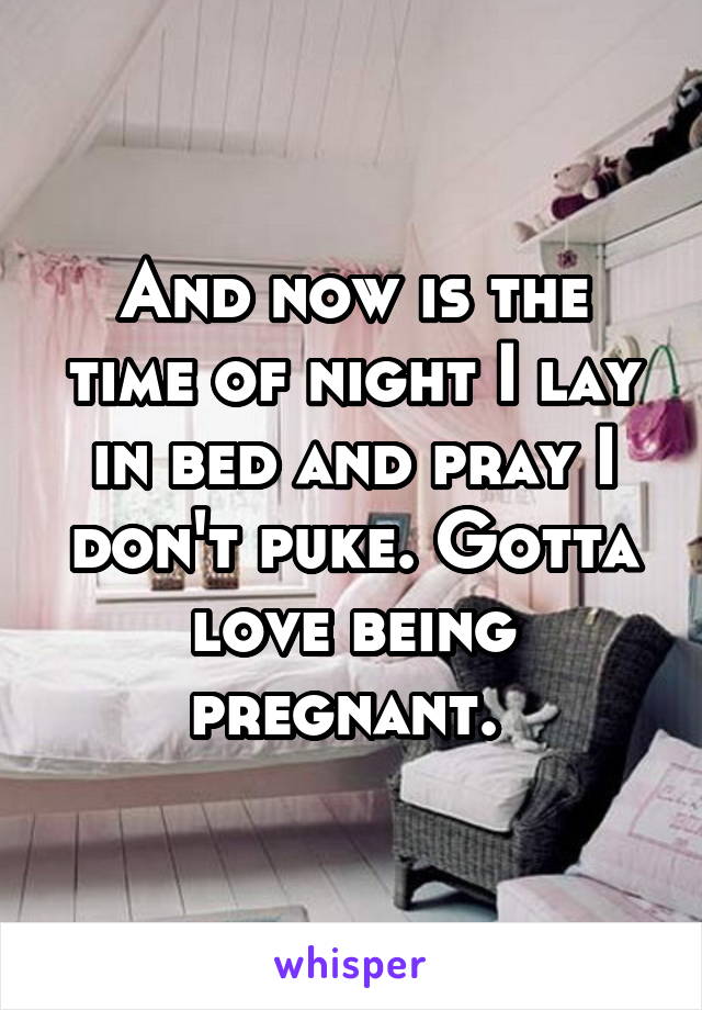 And now is the time of night I lay in bed and pray I don't puke. Gotta love being pregnant. 