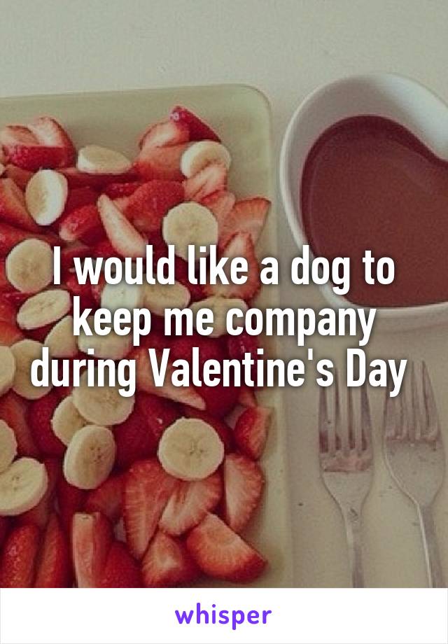 I would like a dog to keep me company during Valentine's Day 