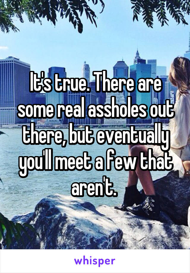 It's true. There are some real assholes out there, but eventually you'll meet a few that aren't. 