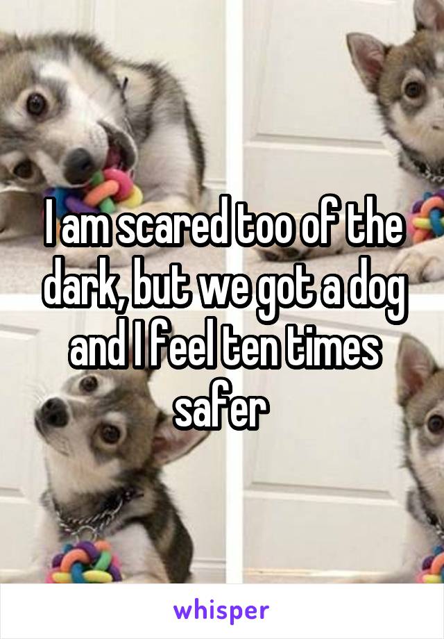 I am scared too of the dark, but we got a dog and I feel ten times safer 