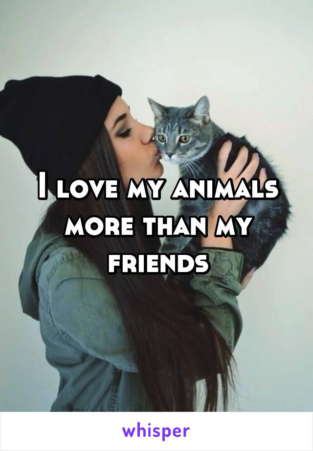 I love my animals more than my friends