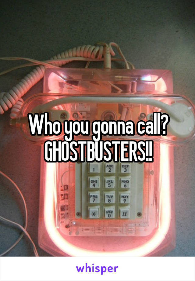 Who you gonna call? GHOSTBUSTERS!!