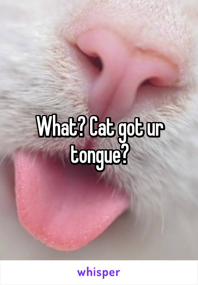 What? Cat got ur tongue?