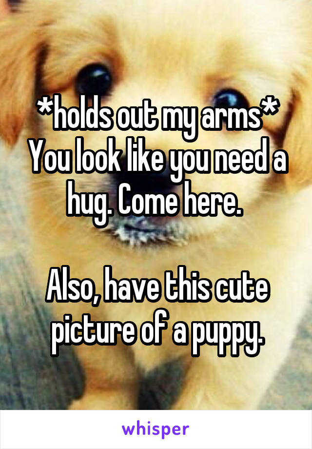 *holds out my arms* You look like you need a hug. Come here. 

Also, have this cute picture of a puppy.