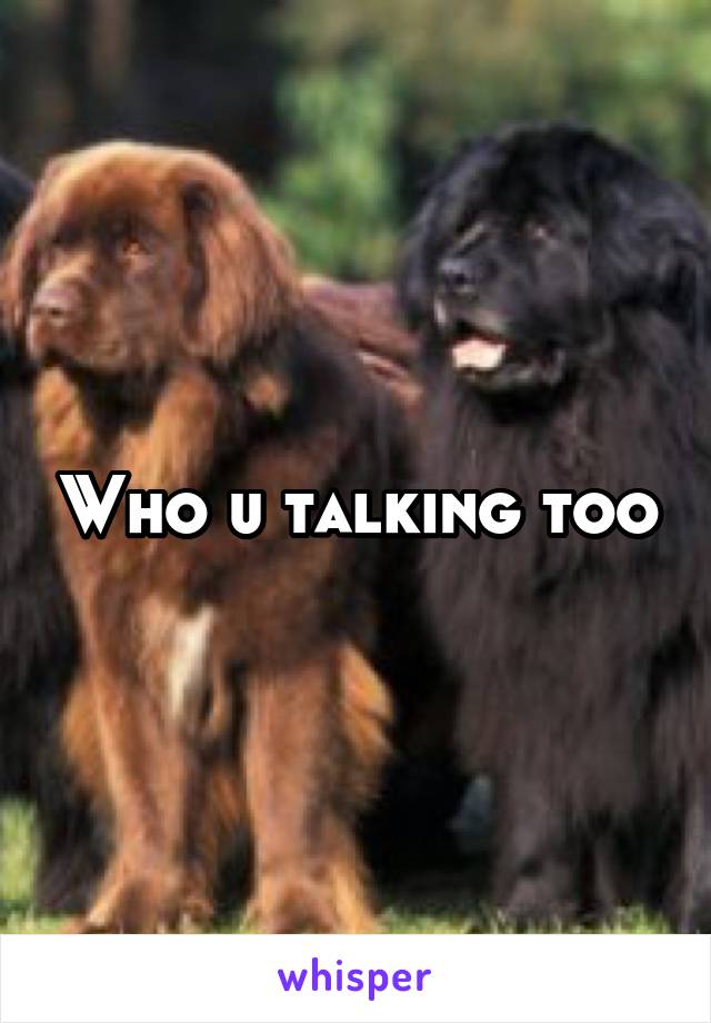 Who u talking too
