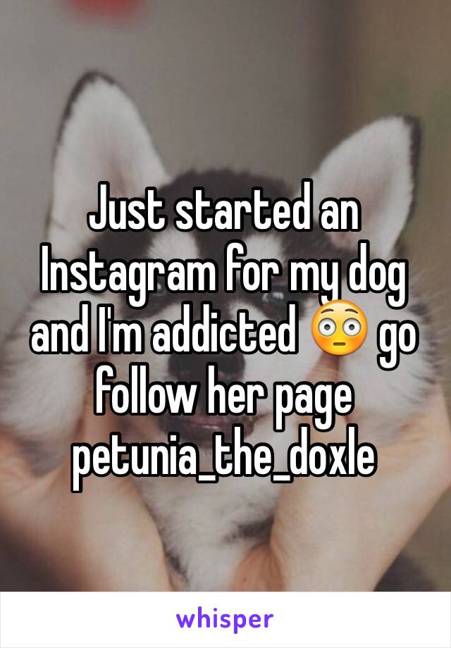 Just started an Instagram for my dog and I'm addicted 😳 go follow her page petunia_the_doxle