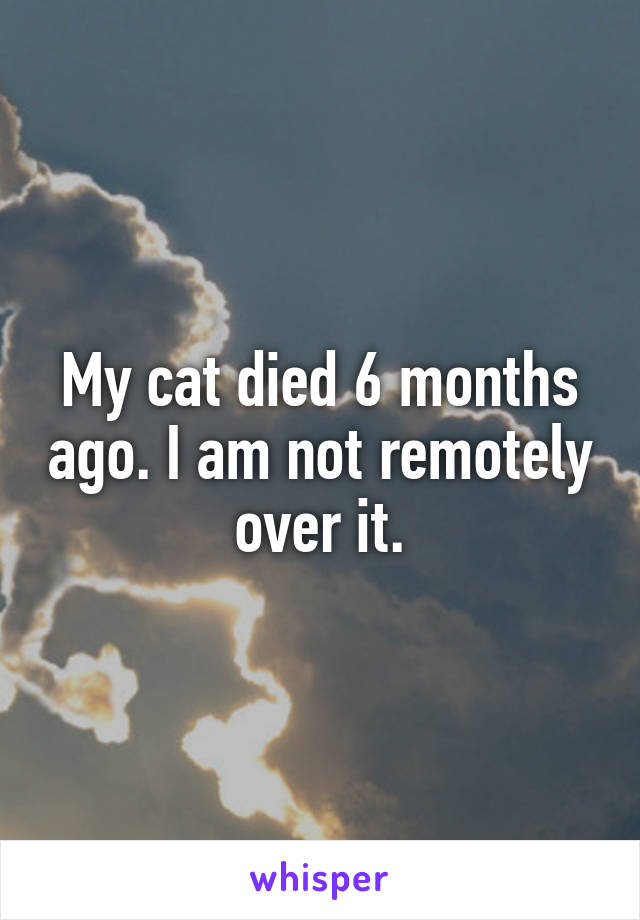 My cat died 6 months ago. I am not remotely over it.