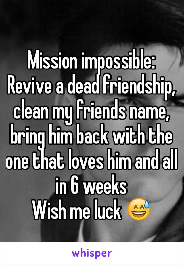 Mission impossible:
Revive a dead friendship, clean my friends name, bring him back with the one that loves him and all in 6 weeks
Wish me luck 😅