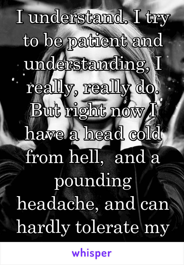 I understand. I try to be patient and understanding, I really, really do. But right now I have a head cold from hell,  and a pounding headache, and can hardly tolerate my own hell spawn. 