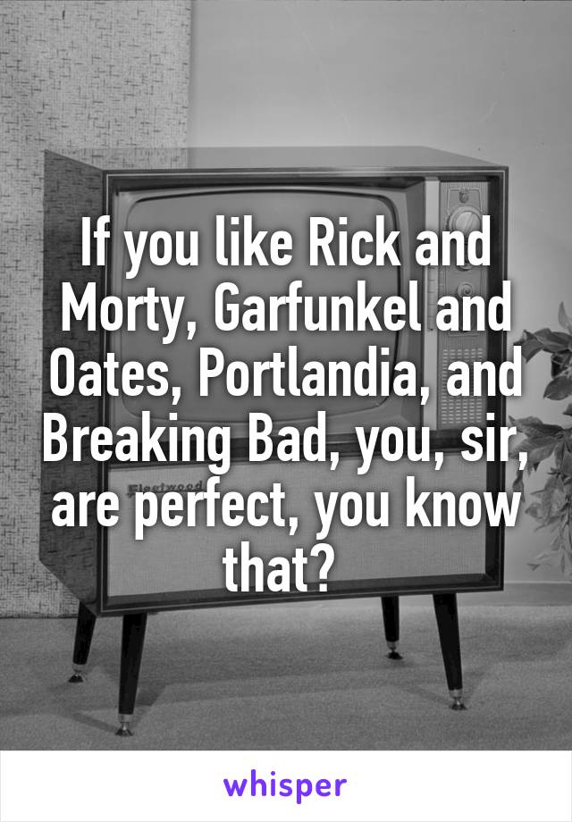 If you like Rick and Morty, Garfunkel and Oates, Portlandia, and Breaking Bad, you, sir, are perfect, you know that? 