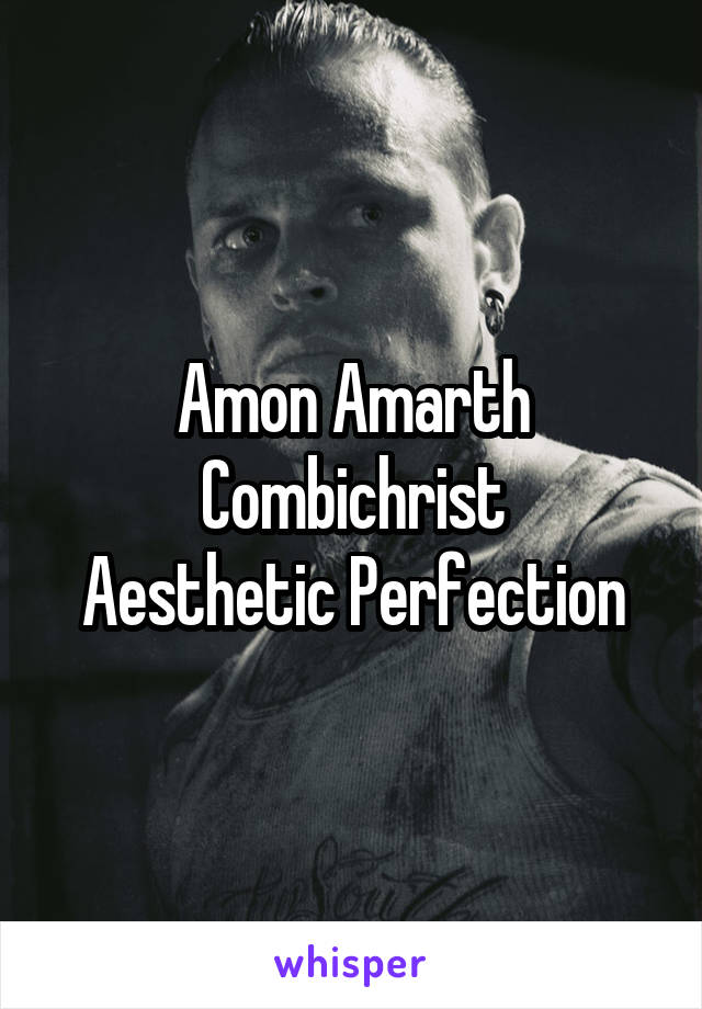 Amon Amarth
Combichrist
Aesthetic Perfection