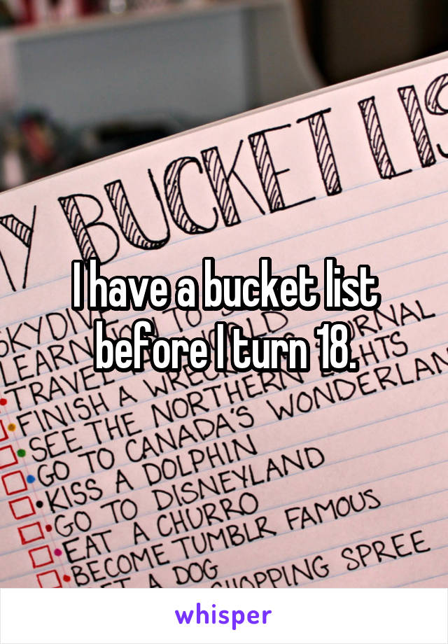 I have a bucket list before I turn 18.