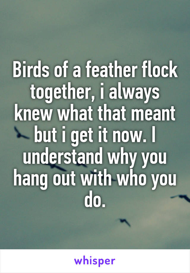Birds of a feather flock together, i always knew what that meant but i get it now. I understand why you hang out with who you do.