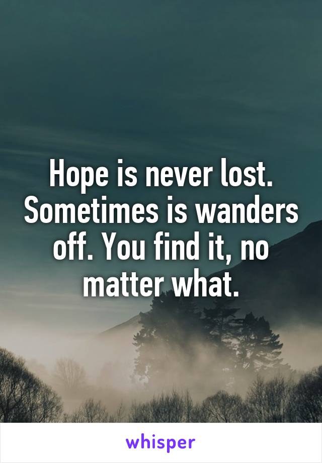 Hope is never lost. Sometimes is wanders off. You find it, no matter what.