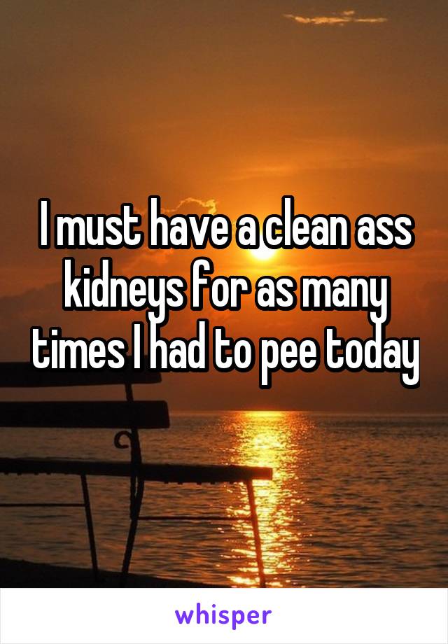 I must have a clean ass kidneys for as many times I had to pee today 