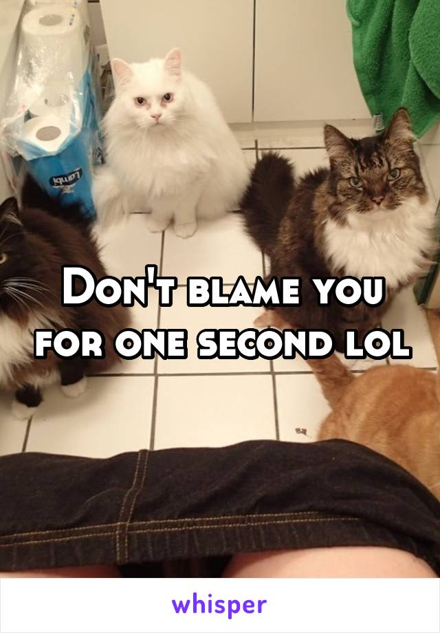 Don't blame you for one second lol